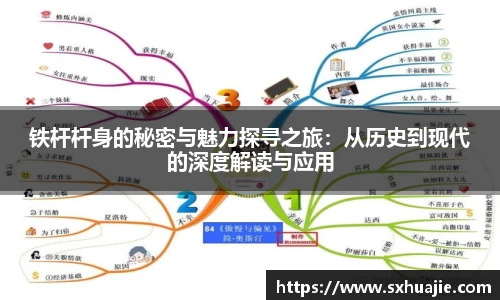 铁杆杆身的秘密与魅力探寻之旅：从历史到现代的深度解读与应用